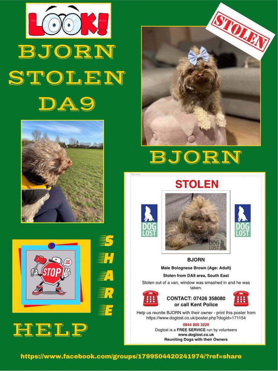 Let’s #FindBolonkaBjorn !!! He needs his family back and we need him ❤️ #dogsoftwitter #dotherightthing #petabduction #bluewater #kent #findbjorn @jacquelineMjos @damekellyholmes @PaulOGradyShow @rickygervais