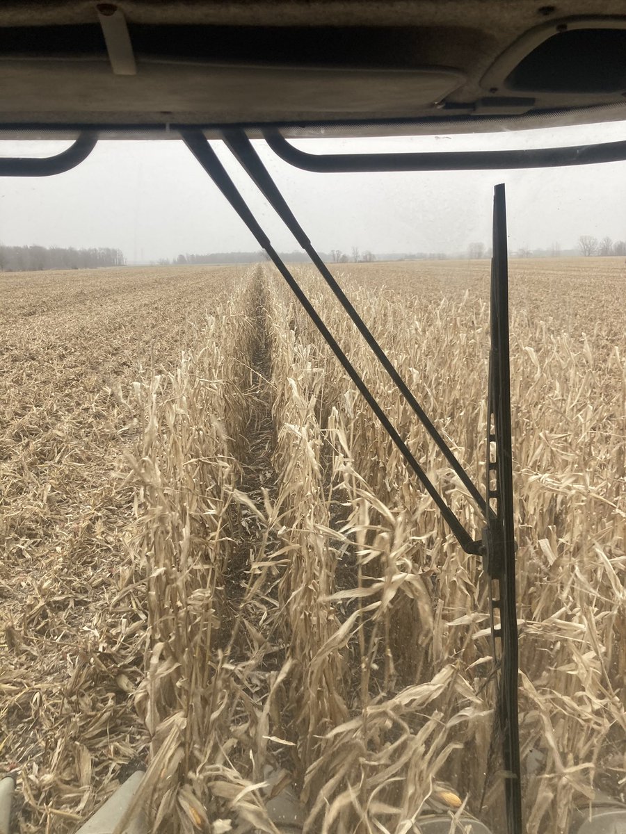 My corn is done    Thanks to Clinton ,Cameron,Scott, Tom ,Neil P&amp;H Glencoe ,McCloud Transport John and everyone else who pitched in. Great family friends and neighbours