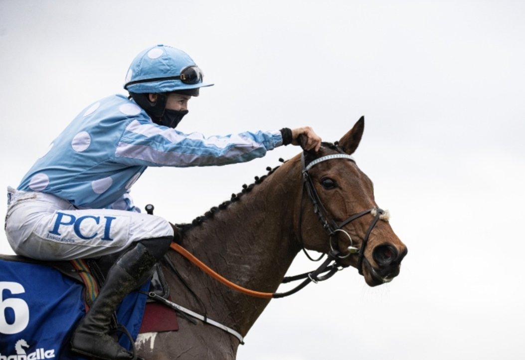 😍 If Honeysuckle wins the Hatton's Grace Hurdle <a href="/Fairyhouse/">FairyhouseRacecourse</a> I'll give £99 CASH to one of you! 💷

To ENTER:

1️⃣ RT this tweet
2️⃣ Follow <a href="/racingblogger/">Stephen R Power</a>

🏆 #Giveaway #Honeysuckle