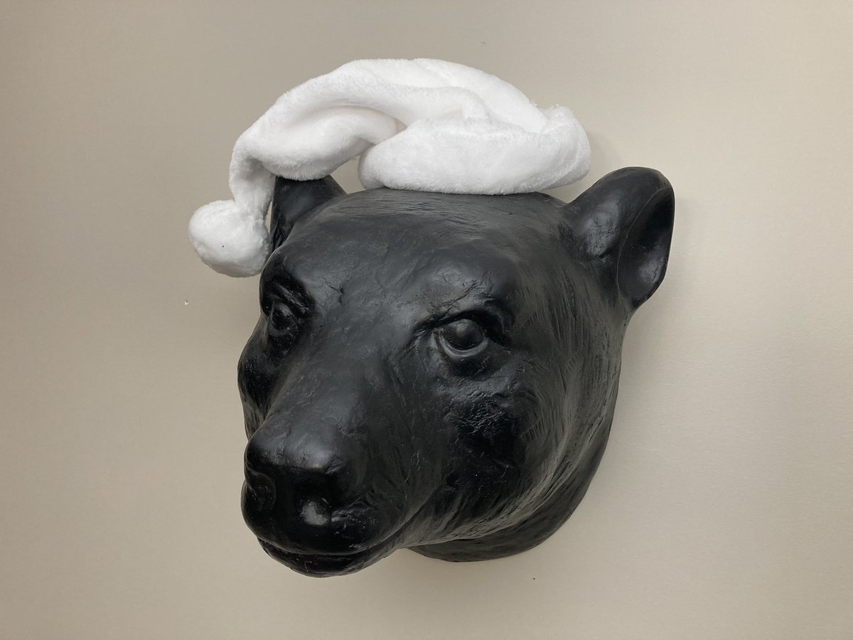 TomBDickerson's tweet photo. Holiday bear head! As the decorations go up it’s time to panic about gifts, why not a nice journal as a gift with some great designs? Follow for updates on new projects and designs! #bear #holidayseason #notebook #journal #gifts #design #nature #inspired https://t.co/I1KA20z6AH