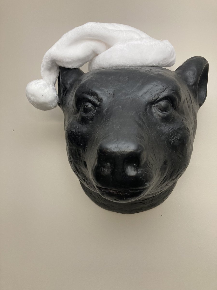 TomBDickerson's tweet photo. Holiday bear head! As the decorations go up it’s time to panic about gifts, why not a nice journal as a gift with some great designs? Follow for updates on new projects and designs! #bear #holidayseason #notebook #journal #gifts #design #nature #inspired https://t.co/I1KA20z6AH