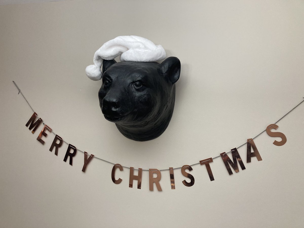 TomBDickerson's tweet photo. Holiday bear head! As the decorations go up it’s time to panic about gifts, why not a nice journal as a gift with some great designs? Follow for updates on new projects and designs! #bear #holidayseason #notebook #journal #gifts #design #nature #inspired https://t.co/I1KA20z6AH