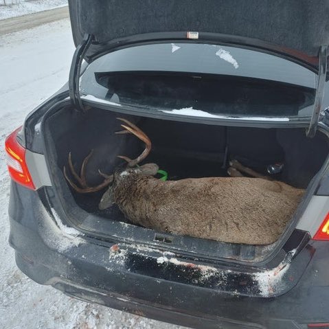 team_ahn's tweet photo. Whatever it takes right? 🤔
Don’t want to have this problem? Choose our Outfitters on https://t.co/Zyp9hQLXEE
#americashuntingnetwork #teamahn #hunting #bowhunting #deer #whitetail #outdoors #hunt #deerseason #hunter #huntinglife #huntingseason #archery #fishing #sickforit https://t.co/GgquJoQ2tD