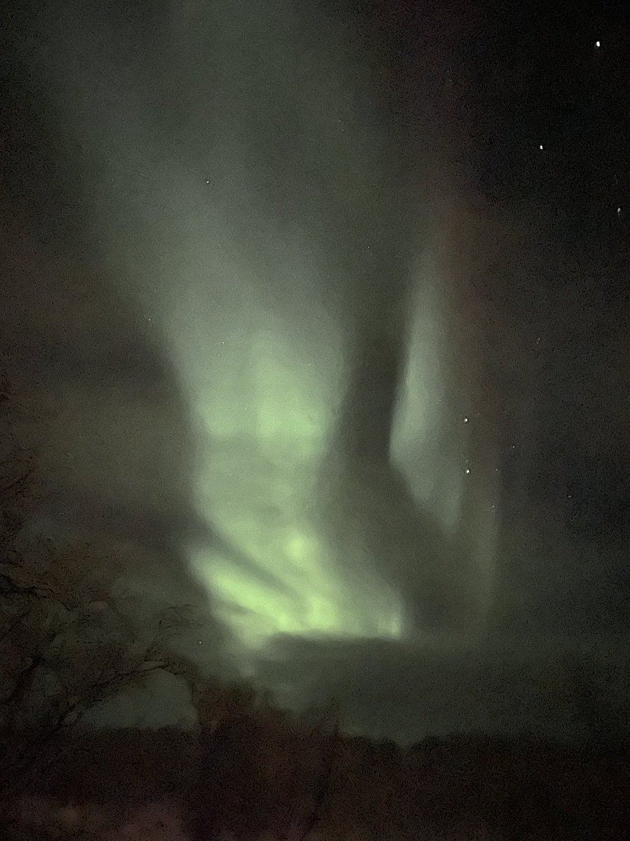 larissabndsn's tweet photo. The northern lights 😍

Kilpisjärvi, Finland 🇫🇮 https://t.co/xVkeN8b9Tk