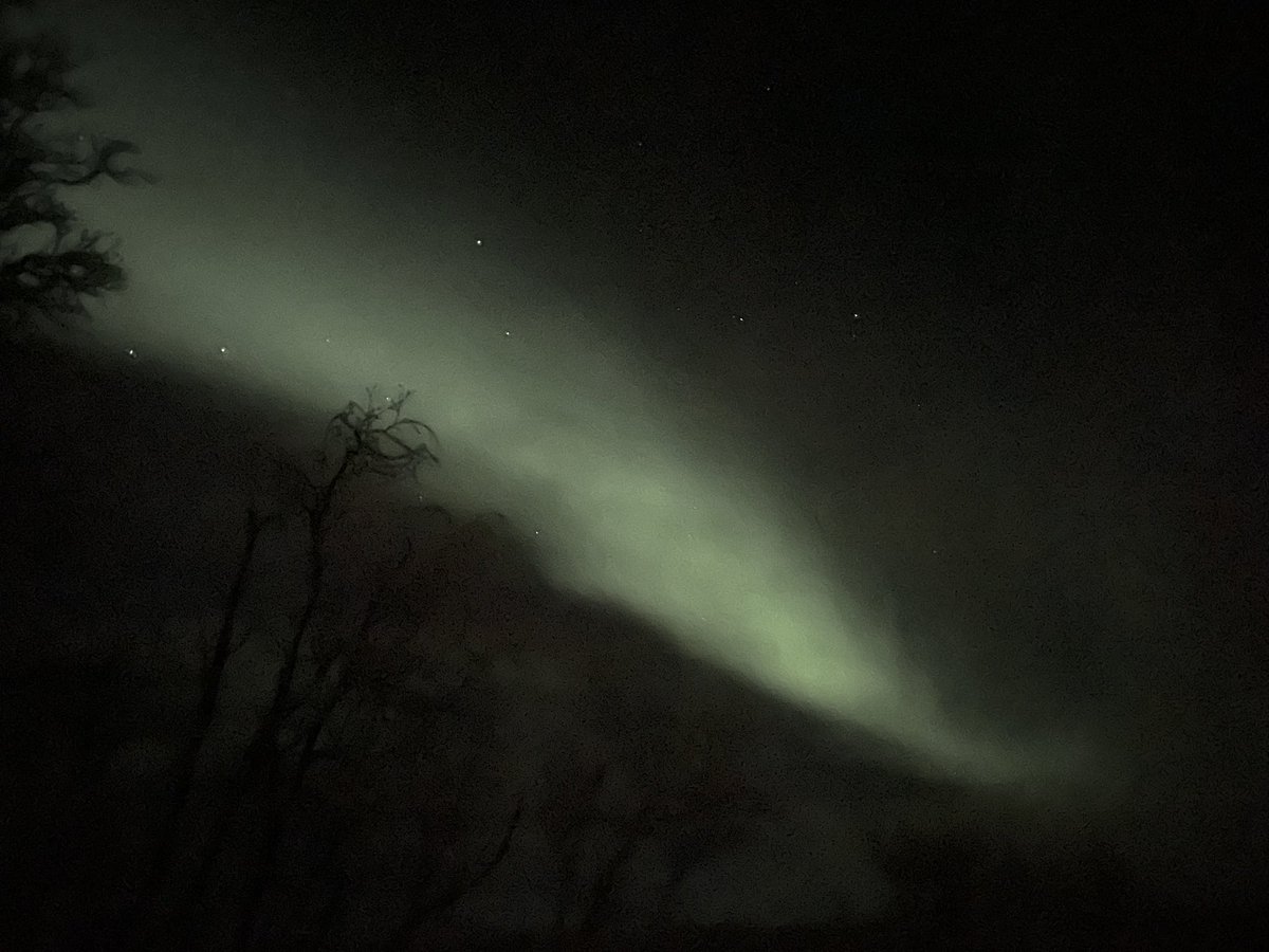 larissabndsn's tweet photo. The northern lights 😍

Kilpisjärvi, Finland 🇫🇮 https://t.co/xVkeN8b9Tk