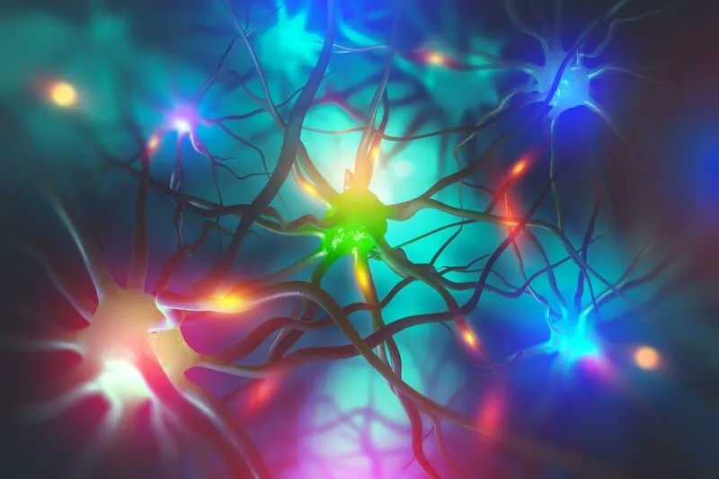 dlhampton's tweet photo. How Your Thoughts Change Your Brain, Cells, And Genes https://t.co/r6NUoAJE8A
Every minute of every day, your #brain, cells, and #genes are literally changing in response to the #thoughts that run through your #mind.
#mentalhealth #neuroplasticity #visualization #epigenetics https://t.co/LOV6Cn2ONa