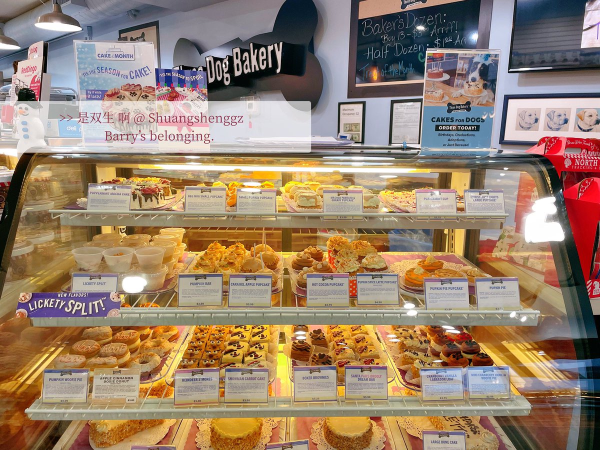 狗狗饼干真的好好吃！！
今天和主人去逛了狗狗手工烘培店，选了一袋饼干🍪和一slide南瓜蛋糕🍰 
饼干是Carob替代可可+花生酱夹心（狗不可以吃巧克力！！）对狗狗超级健康还有各种维生素微量元素 南瓜蛋糕也是对狗狗友好的天然食材。闻起来和吃起来都超香甜没有狗粮味🥰主人的关爱度爆满
Treats Treats! https://t.co/PmGBcBJKxV
