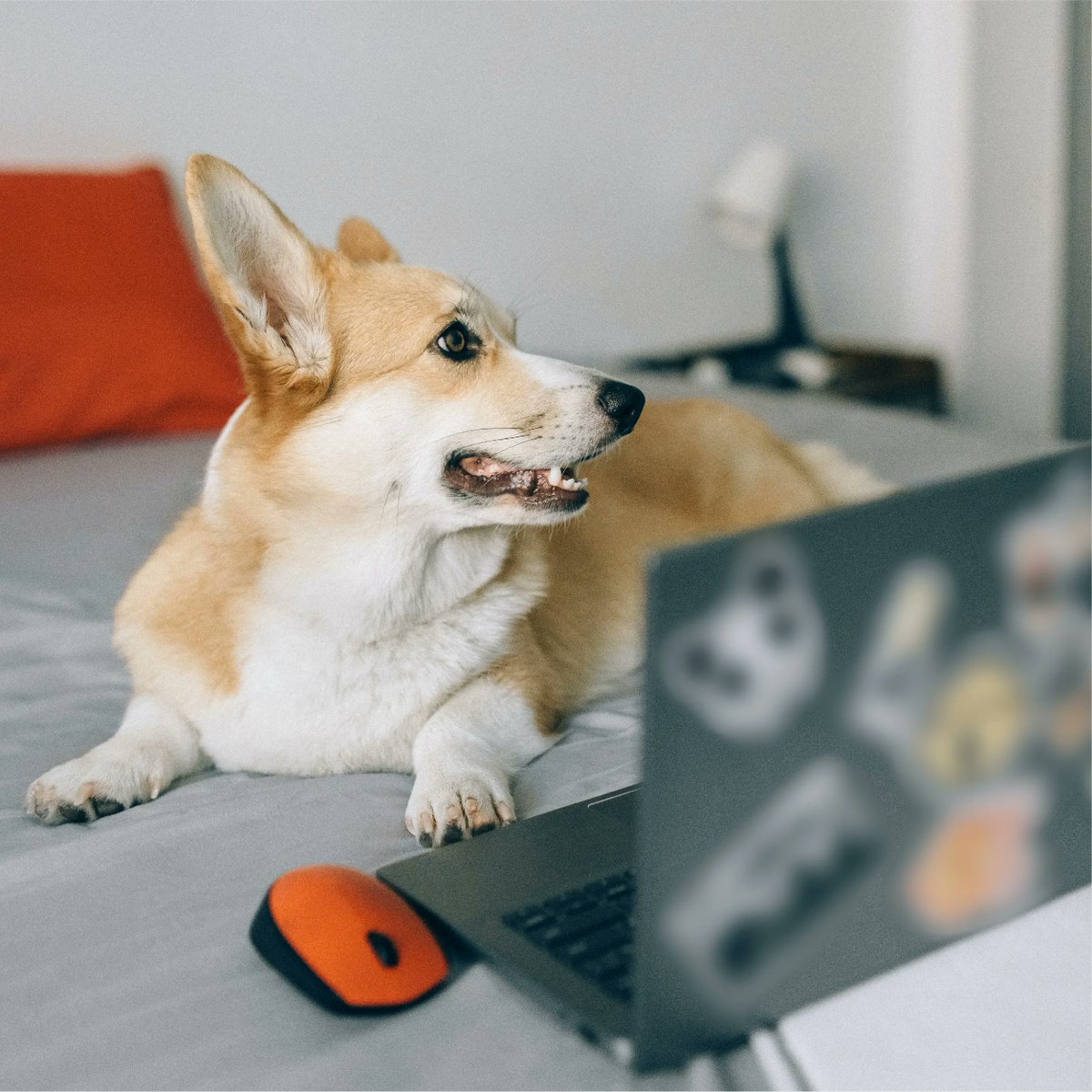 Does anyone want to play games with me?😎

#sleepzone