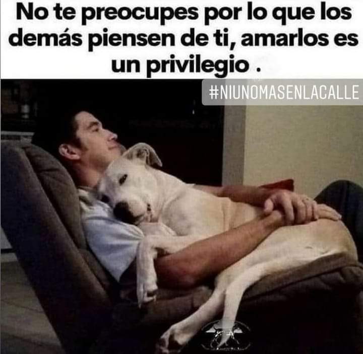 Sabueson tweet media