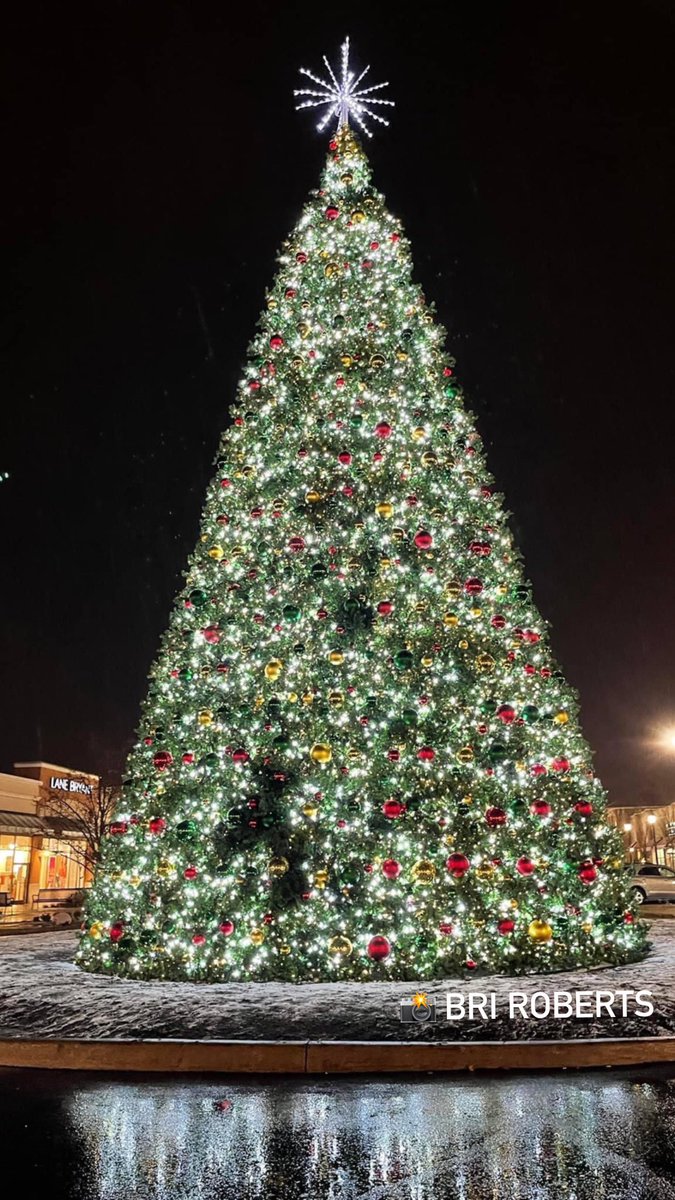 LevisCommons's tweet photo. Stunning pic of the 50ft tree at #LevisCommons - thanks, Bri Roberts! ❤️🌲📸 https://t.co/LIdN6VFuEo