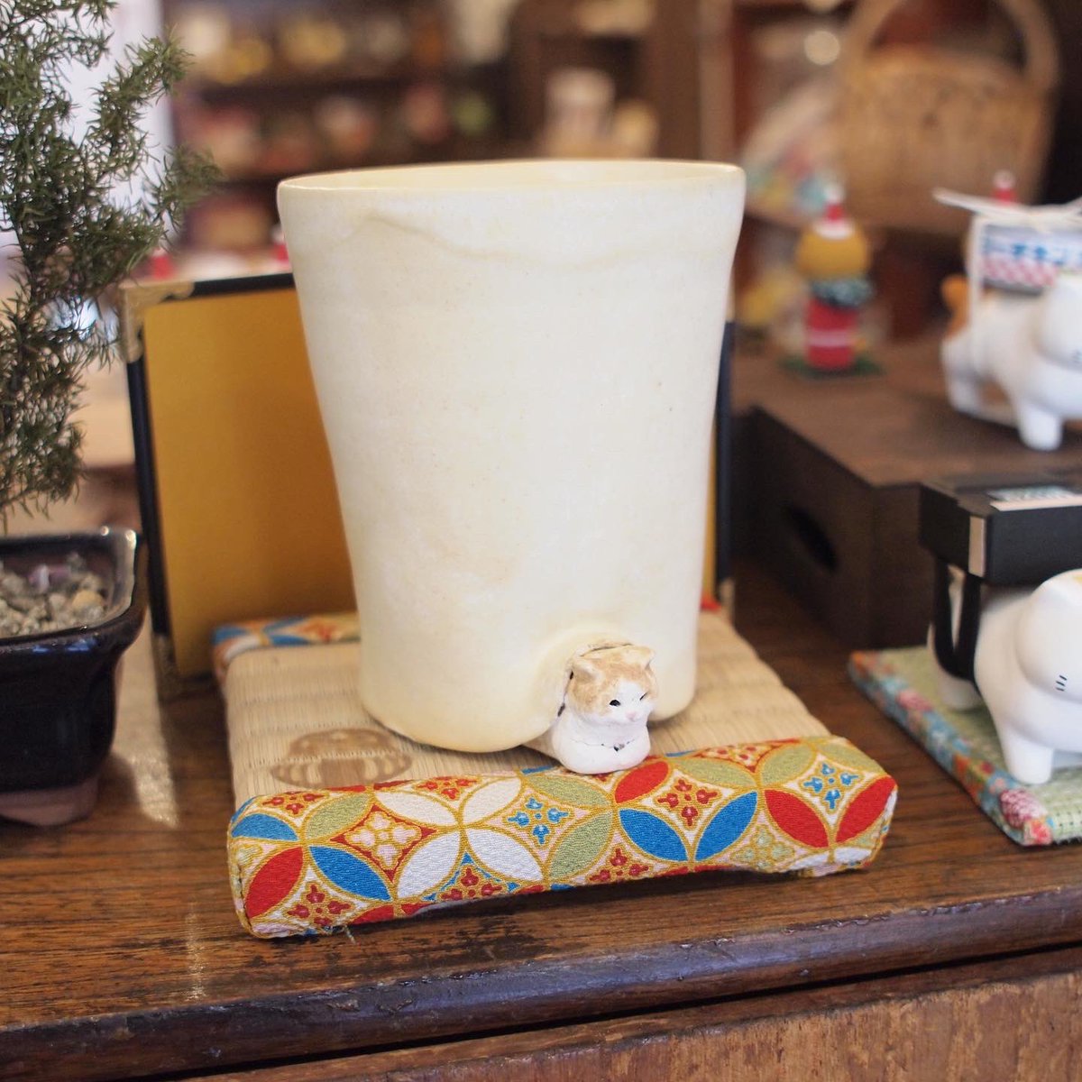 白亜器の茶白猫作品、この後12:00より販売開始です！ にゃ体盛り皿と