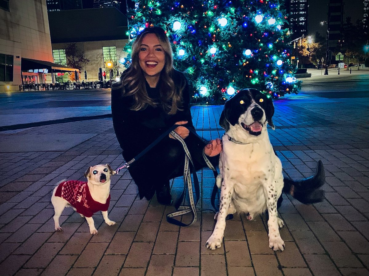 Deck the halls!🎄🎅🏼❤️