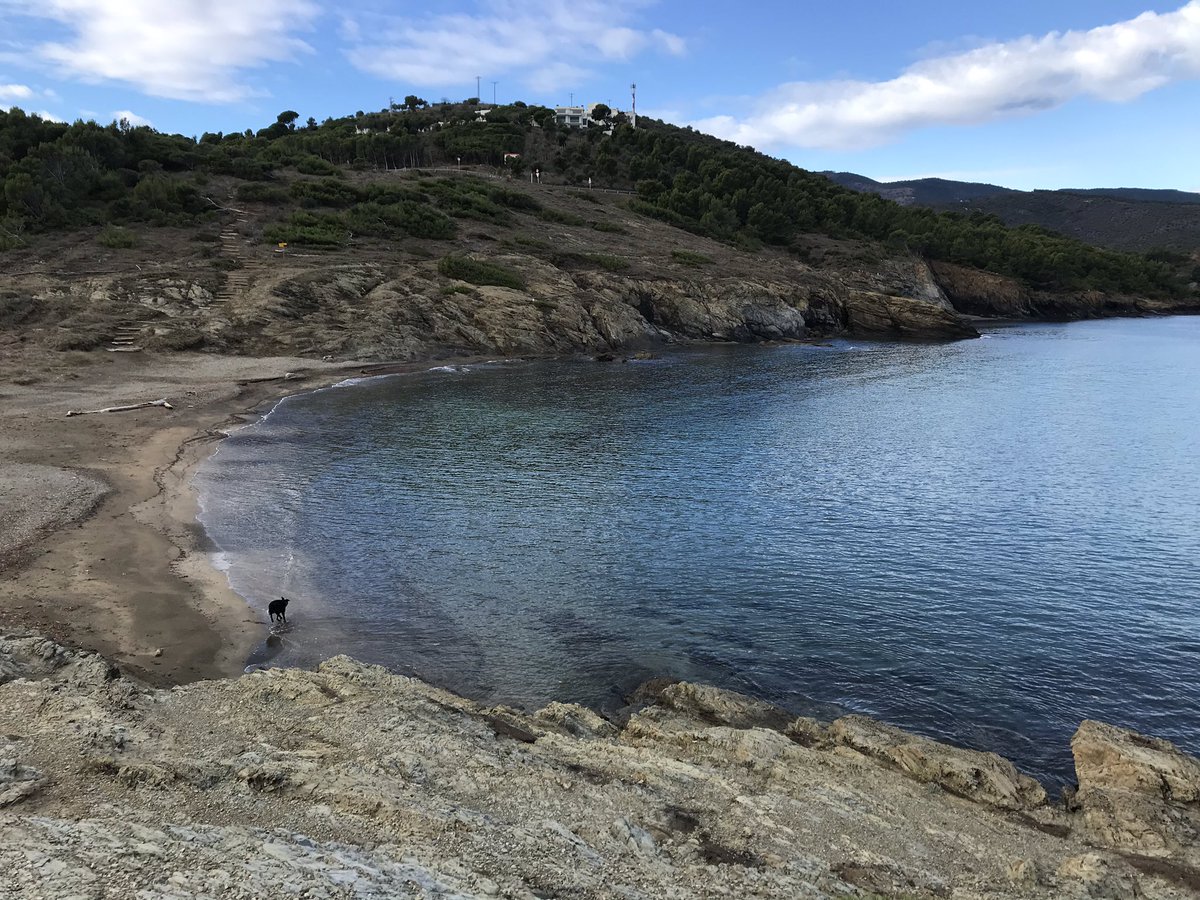lluisregincos's tweet photo. Calma avui matí abans no entres la tramuntana a Cap Ras... @meteollanca @Llancaturisme #llançà @angelgalanmont @desimonclus @MeteoMauri @3Genis @meteocat @SoniaPapell @laia_regincos @MartaRodriguezF @MeteoGracia   @ferrytor @ARAmeteo https://t.co/PwGWYFV9AJ