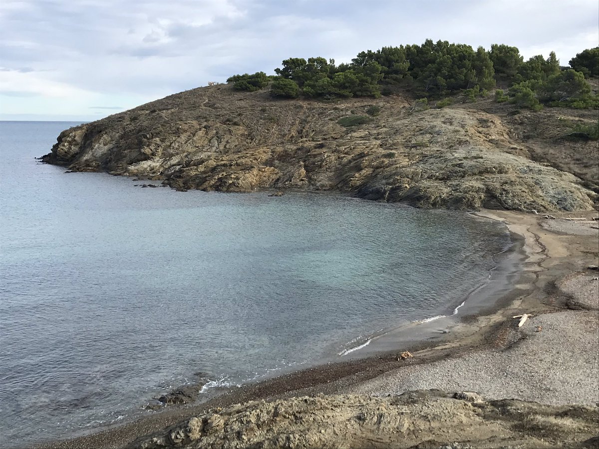lluisregincos's tweet photo. Calma avui matí abans no entres la tramuntana a Cap Ras... @meteollanca @Llancaturisme #llançà @angelgalanmont @desimonclus @MeteoMauri @3Genis @meteocat @SoniaPapell @laia_regincos @MartaRodriguezF @MeteoGracia   @ferrytor @ARAmeteo https://t.co/PwGWYFV9AJ