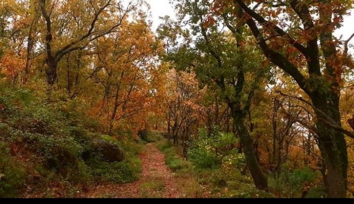 📸 🍂  Seguimos recibiendo imágenes en el #CONCURSO de #fotografía online #Otoñada2021 VALLE DEL JERTE. Participa y gana un fin de semana en la comarca : a.cstmapp.com/p/921945

Programación #Otoñada2021: soprodevaje.blogspot.com/2021/10/otonad…