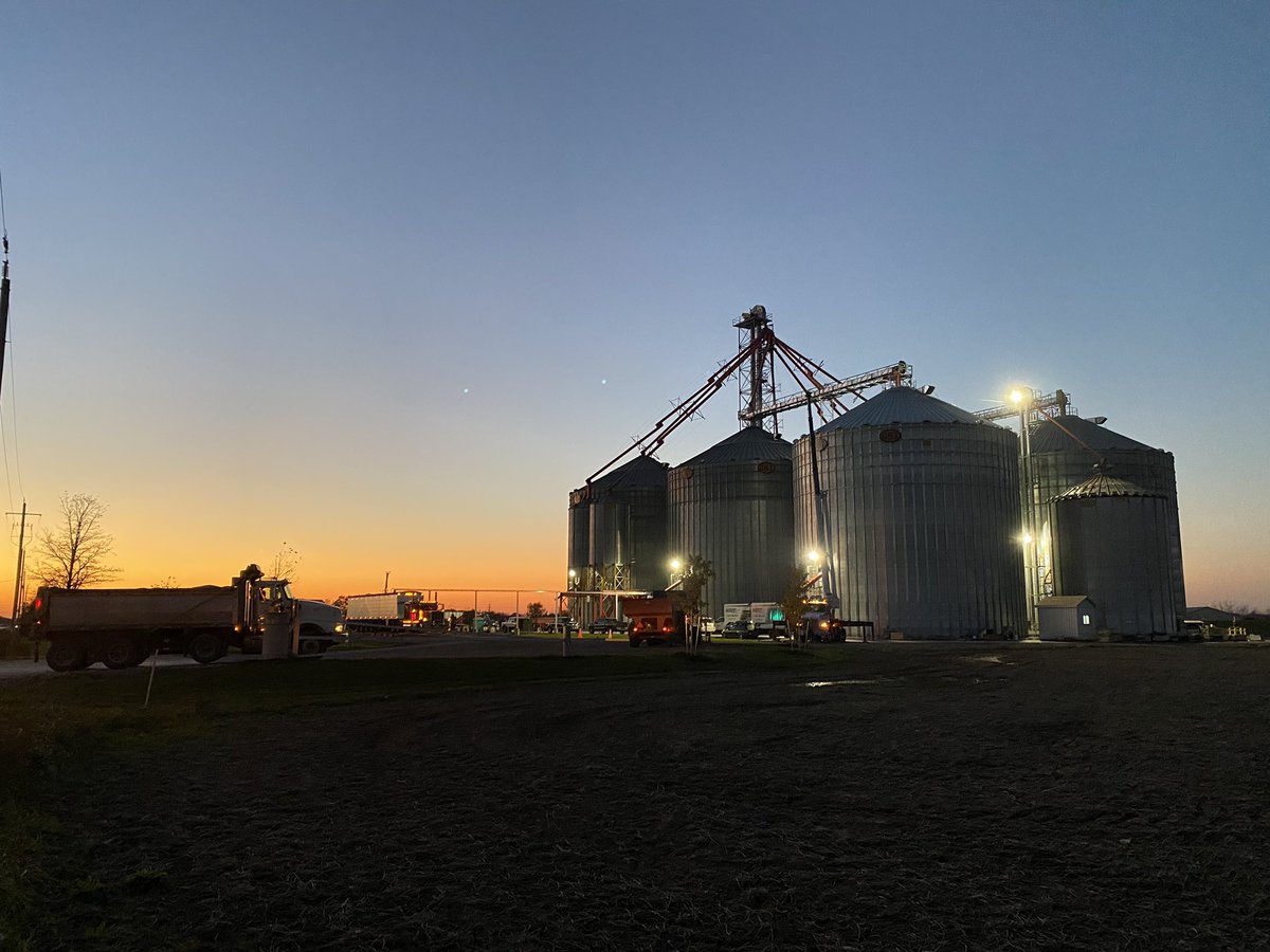 TinkVeri's tweet photo. Trying to think of Something funny to say, but don’t wanna sound corny... 🌽🌽 #ontag #cornharvest #GSI https://t.co/CuPxGslo9U