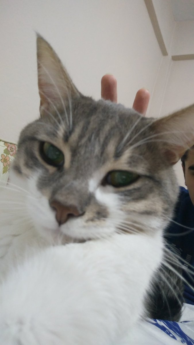 #BerkeyePeriteÖzgürlük