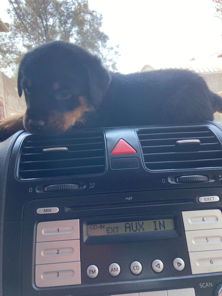 Berecasting's tweet image. 