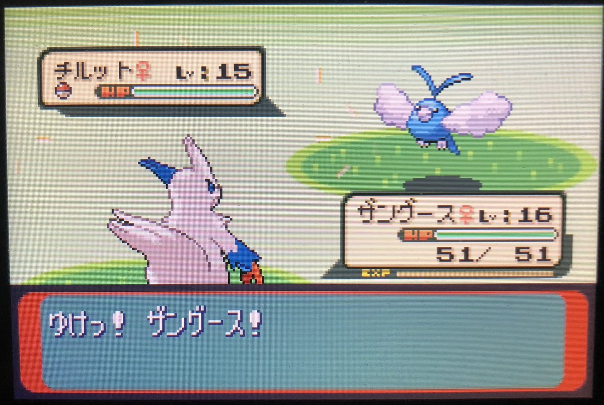 swif__'s tweet photo. Il aura fallu pile 20 mois (lol), 125 108 rencontres, 10 Tylton, 5 Grainipiot pour finir ma première shasse par RE's et donc trouver le meilleur et le plus beau shiny qui existe 
Je vais enfin pouvoir quitter momentanément la route de l’enfer, je vais tout casser https://t.co/wMhotqiH9v