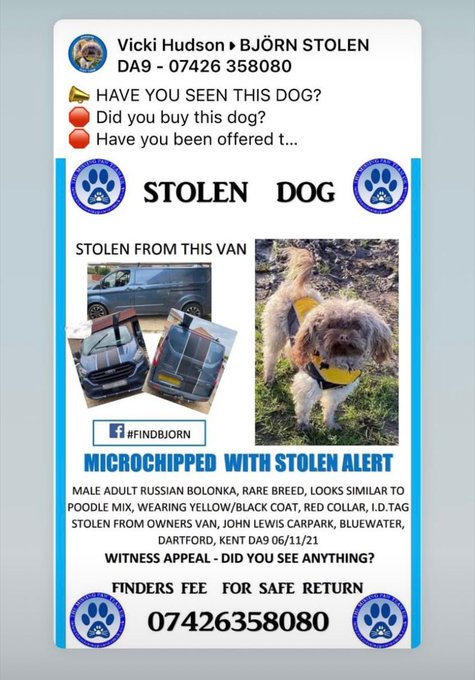 Tom_Williams_10's tweet photo. #FindBolonkaBjorn @rickygervais @hollywills @RuthieeL @antanddec @MarvinHumes @TonyBellew @theRealEnzoMac @anthonyjoshua @afowler06 @EbanieBridges @DogLostUK @RealCFrampton @Tyson_Fury @DarrenBarker82 @_DeclanRice @EddieHearn @FrankBuglioni @rustyrockets https://t.co/mg0Ihh4Tic https://t.co/Xbdm1XQM2k