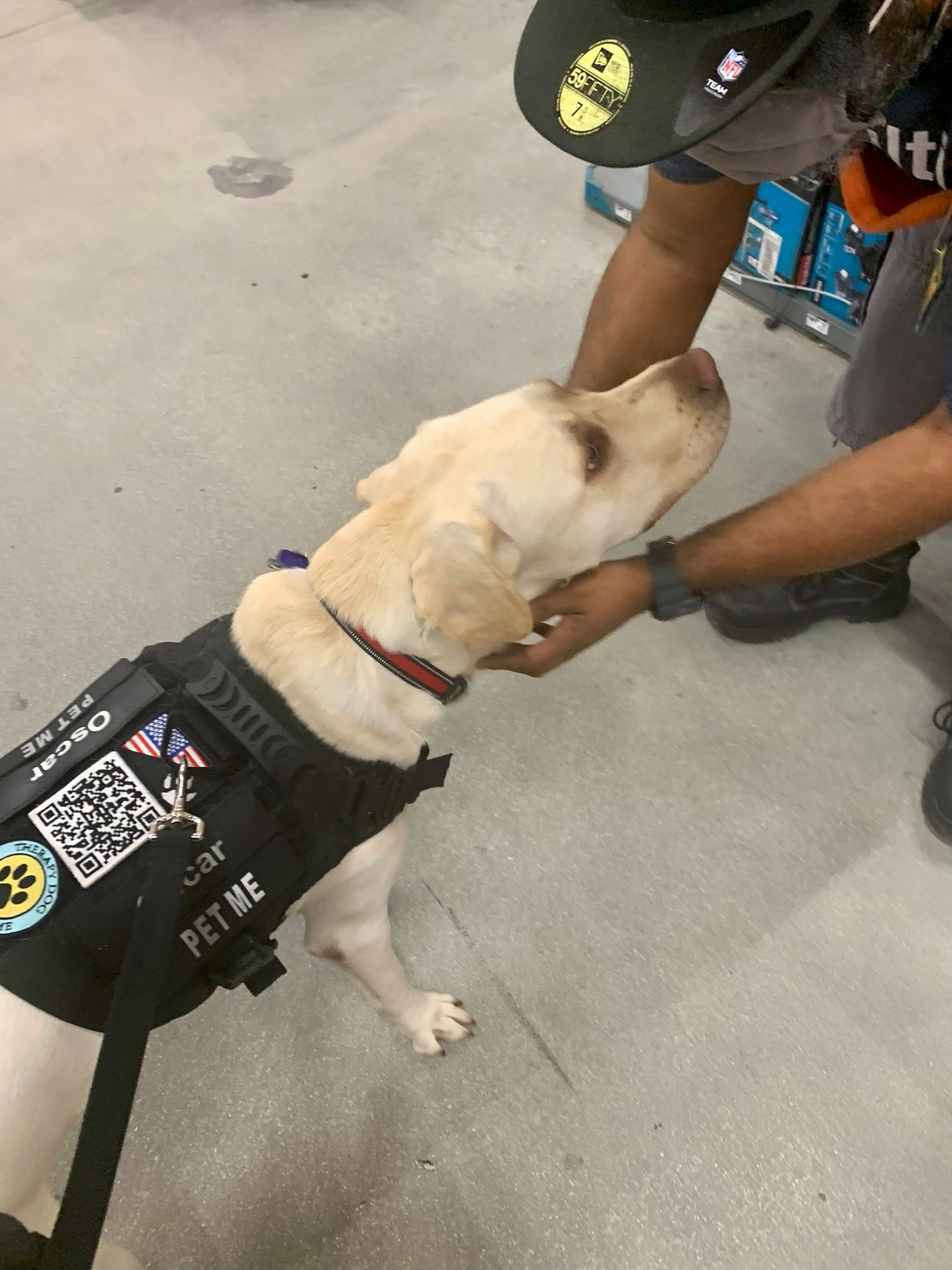 Are Dogs Allowed In Home Depot 2021