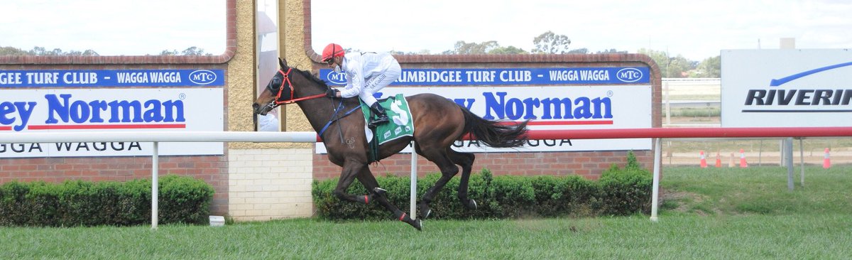Patriot_Bldstck's tweet photo. Big day for team Patriot Bloodstock, Warrnambool R8 6 WILL TO EXCEL running in the $300k #TheJerichoCup race jumps at 4.55pm
🖤❤️🐴 #GoWilly
@James_Ponsonby_
@tommyhud9
@jackonotwacko
@raejoshua
@pelder90
@JamesHislop6
@woodynickp
@juneediesel
@AnthonyManton https://t.co/rOTrAnebou