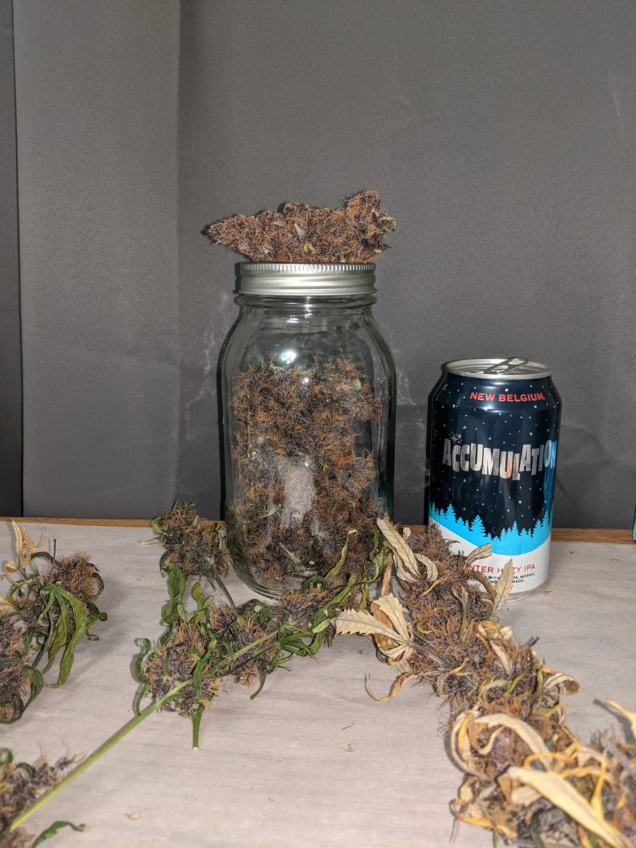 Nicholas | Unusual Whales tweet media