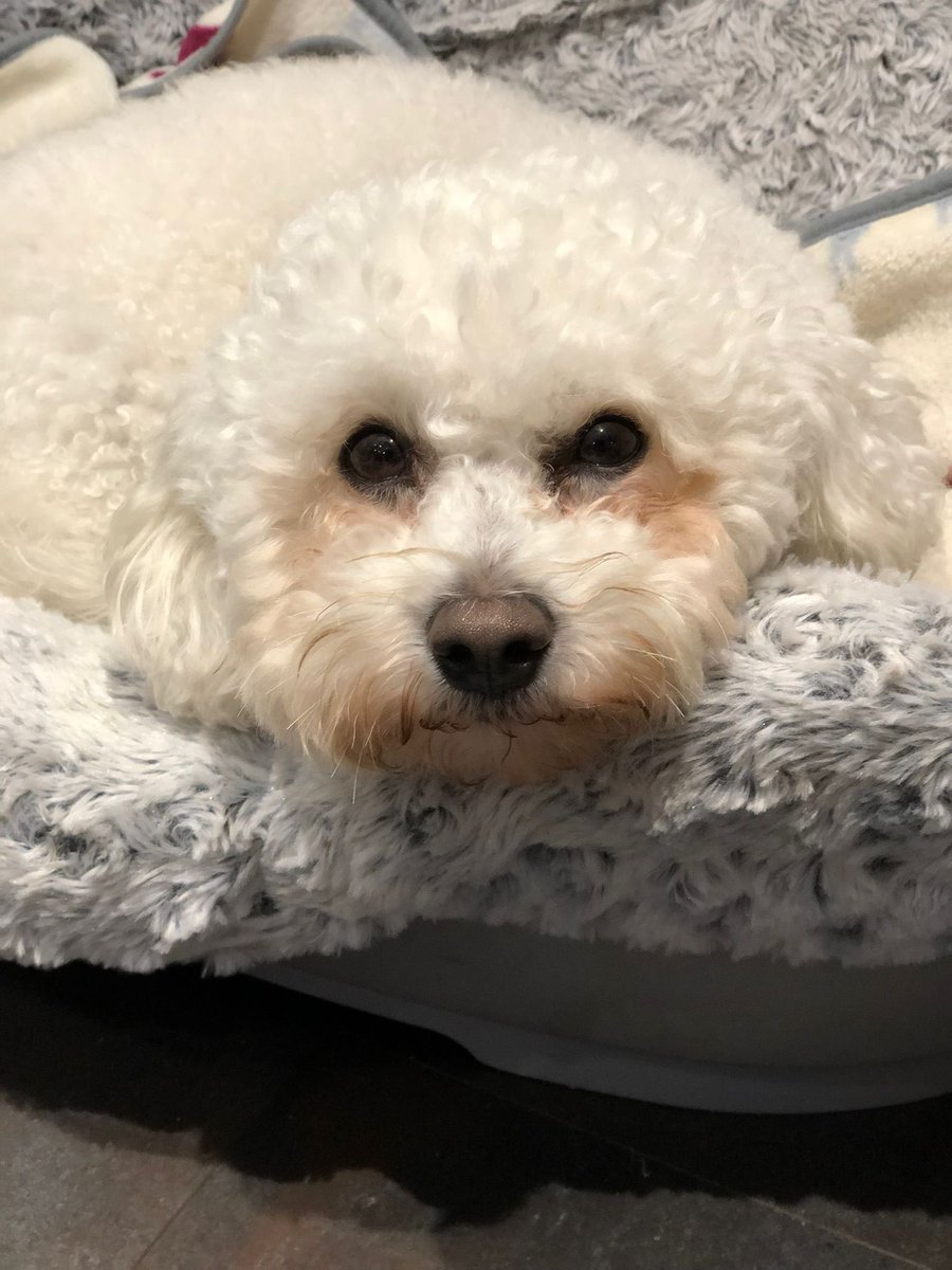 Bill Dale tweet media