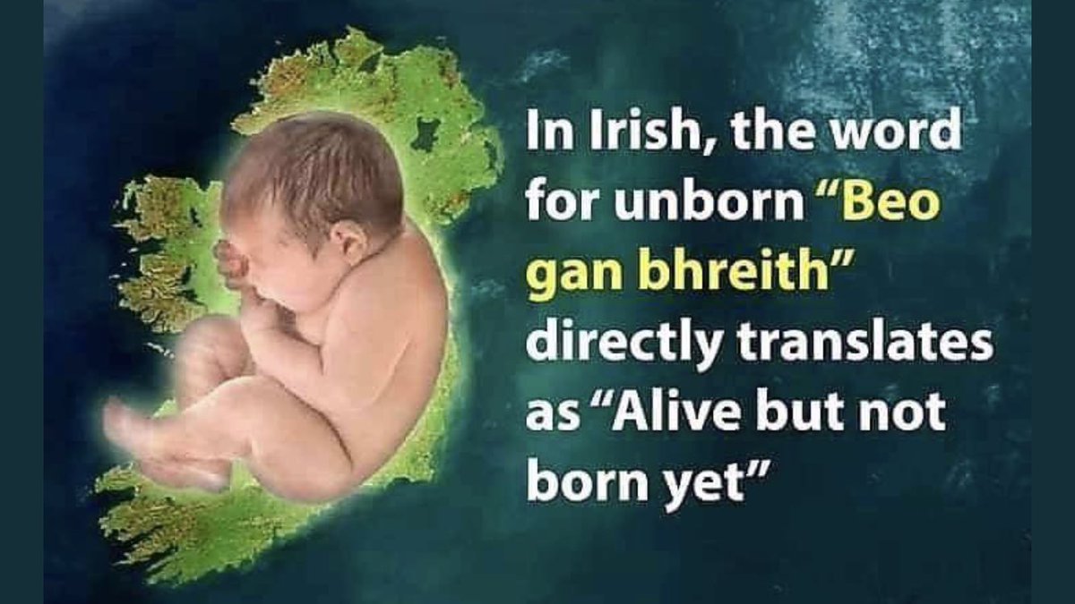 FrankPentangel1's tweet photo. I don’t imagine that creepy self-promoter, professional victim &amp; death grip retainer of power at ⁦@AmnestyIreland⁩, #ColmOGorman, has given this lesson, in Irish, to the Women he controls at Anmesty.
Do you ⁦@iseult⁩ ? https://t.co/RInab8OoZQ