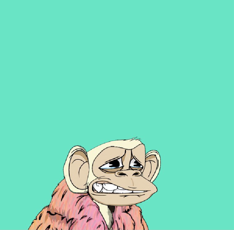 Rizzmember tweet media