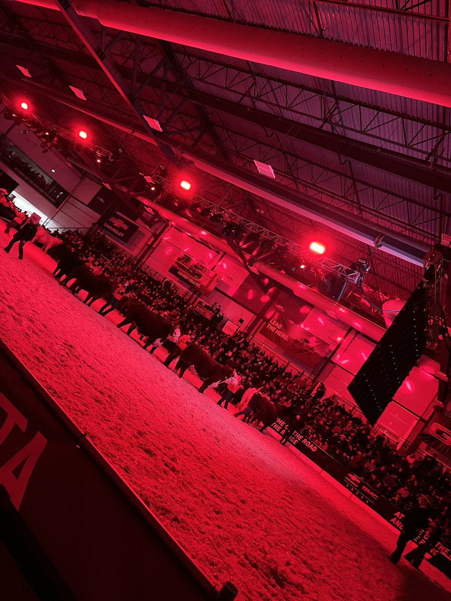 tara_m_davidson's tweet photo. It’s been a few years since I’ve been at the #CWA #BeefSupreme live and it does not disappoint! Lots of buzz in the air… https://t.co/24E82L4ASw