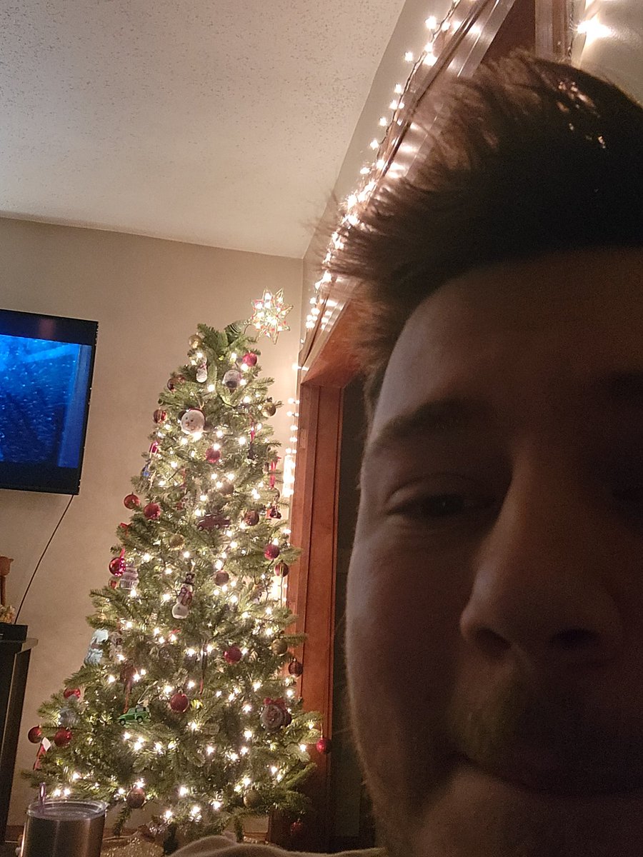 theLLance's tweet photo. Wife did an amazing job decorating the tree. Then I put the topper on... https://t.co/VbMaYZqntq
