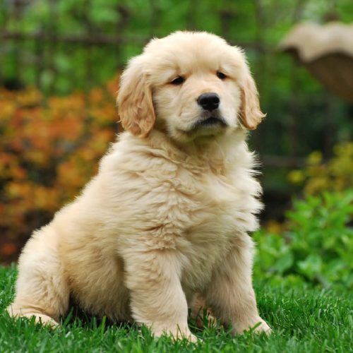 Good_Doge_Coin's tweet photo. @BitcoinMagazine https://t.co/EW9Wge2LSM
https://t.co/sJFQIuEQGI https://t.co/hcT5E0Enk5