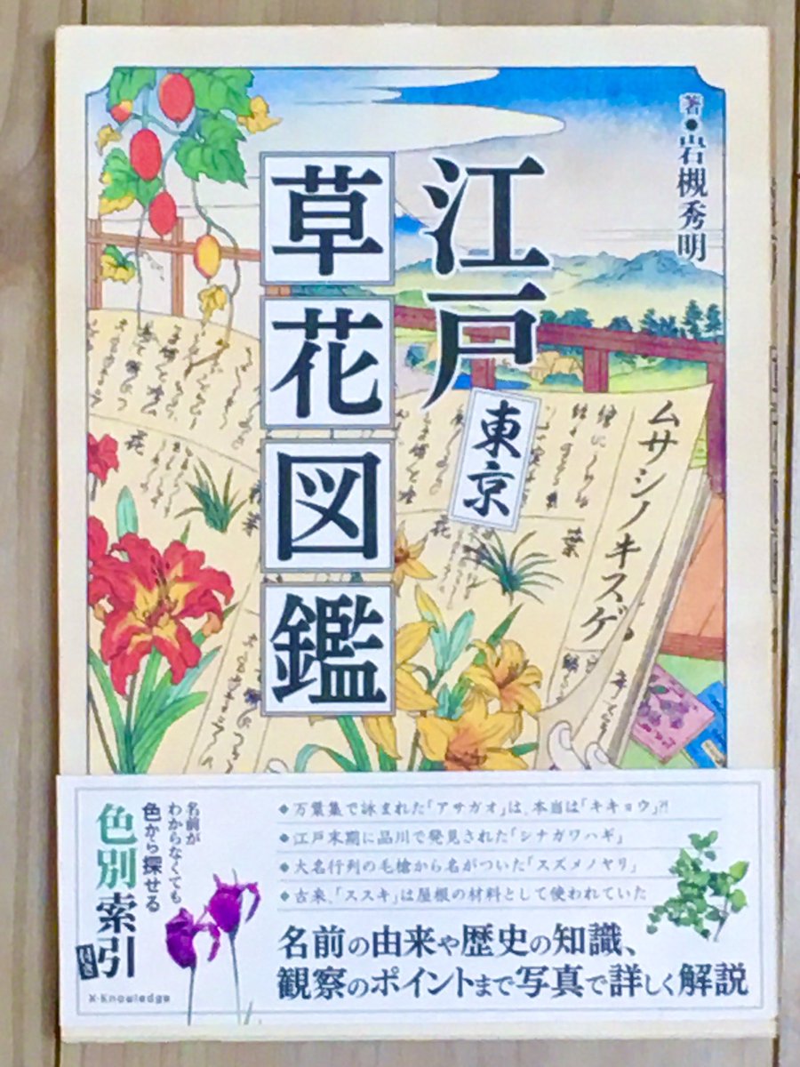 この前買った本
在来種ばかり、由来も使われ方も解説してあって面白い
この原稿が終わったらじっくり読むんだ…

江戸東京草花図鑑/岩槻秀明/株式会社エクスナレッジ 