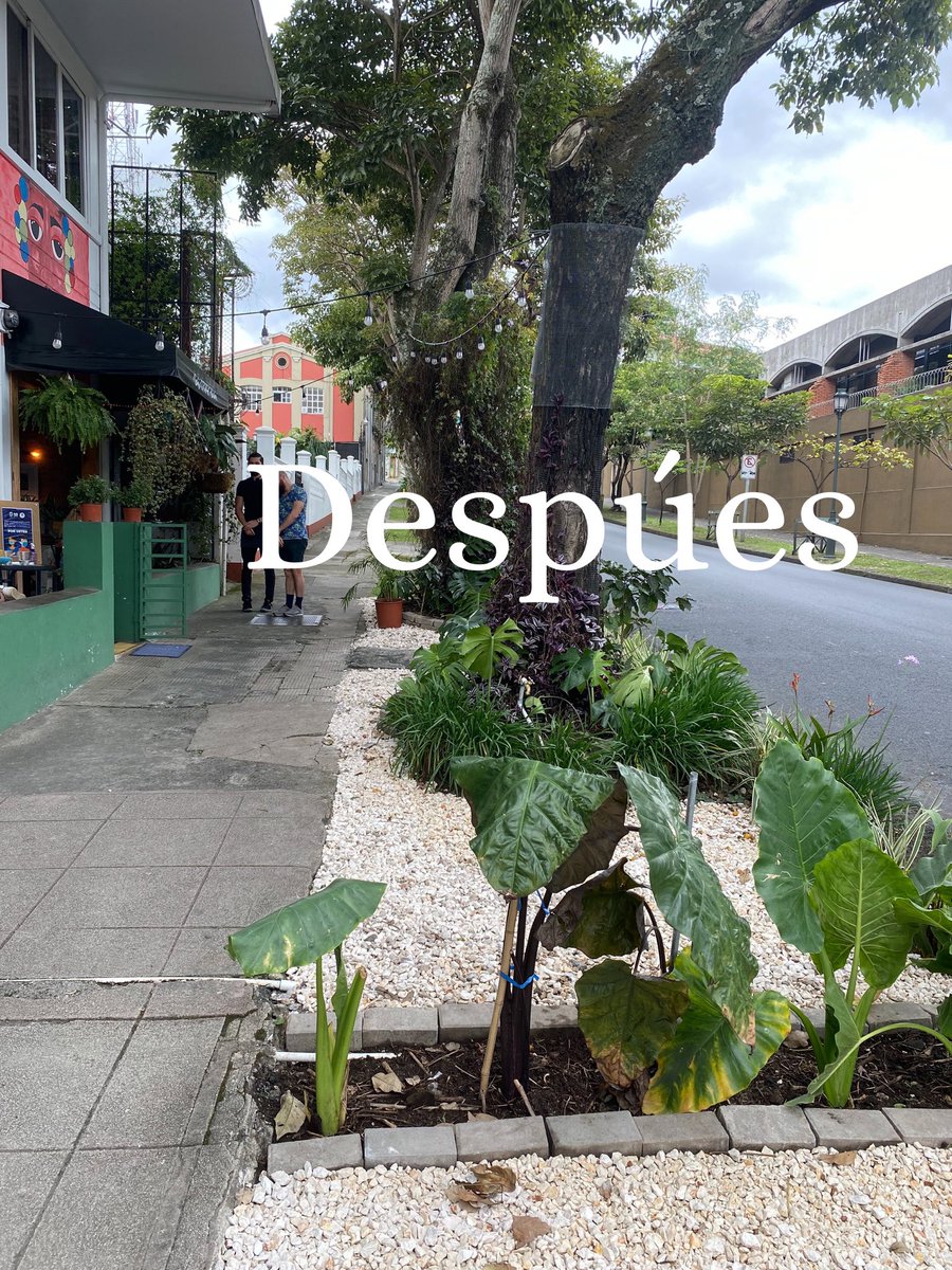 La Municipalidad de San José nos hizo retirar las sillas y mesitas que ponemos afuera de Café Otoya. Un despliegue de cerca de 20 oficiales, un ridículo… hoy luce triste afuera y sin personas que puedan disfrutar del espacio urbano. 
¿Este es el tipo de ciudad que queremos?