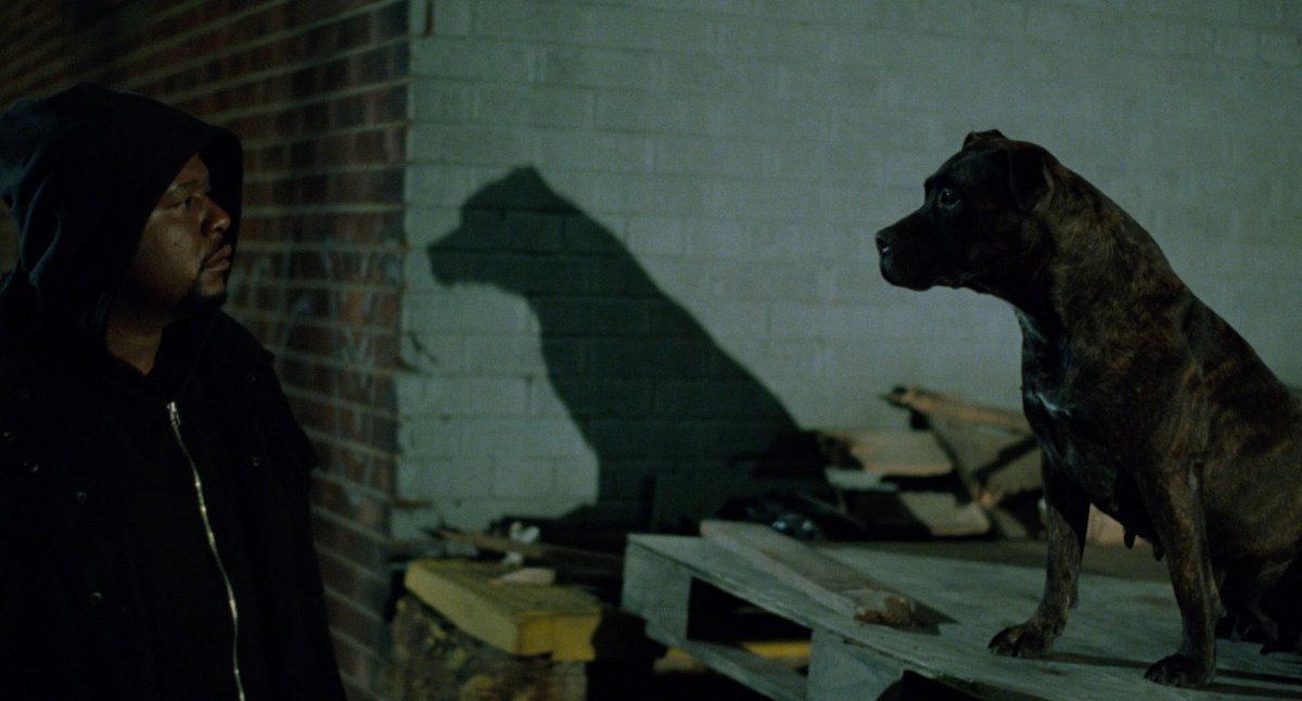 ddoniolvalcroze's tweet photo. Now watching Ghost Dog: The Way of the Samurai (1999) directed by Jim Jarmusch. Love this film so much 🖤🖤🖤 https://t.co/sfLp6MKW7M