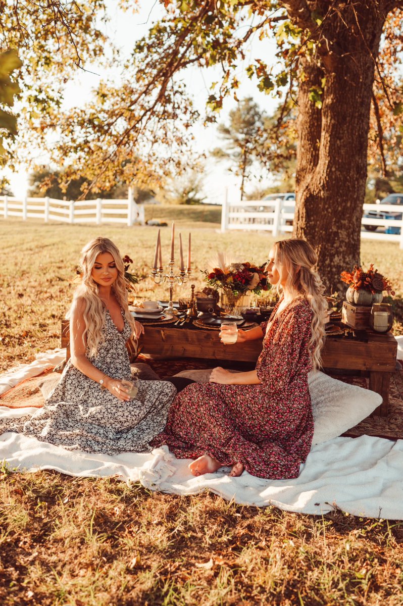 Ali Terral tweet media