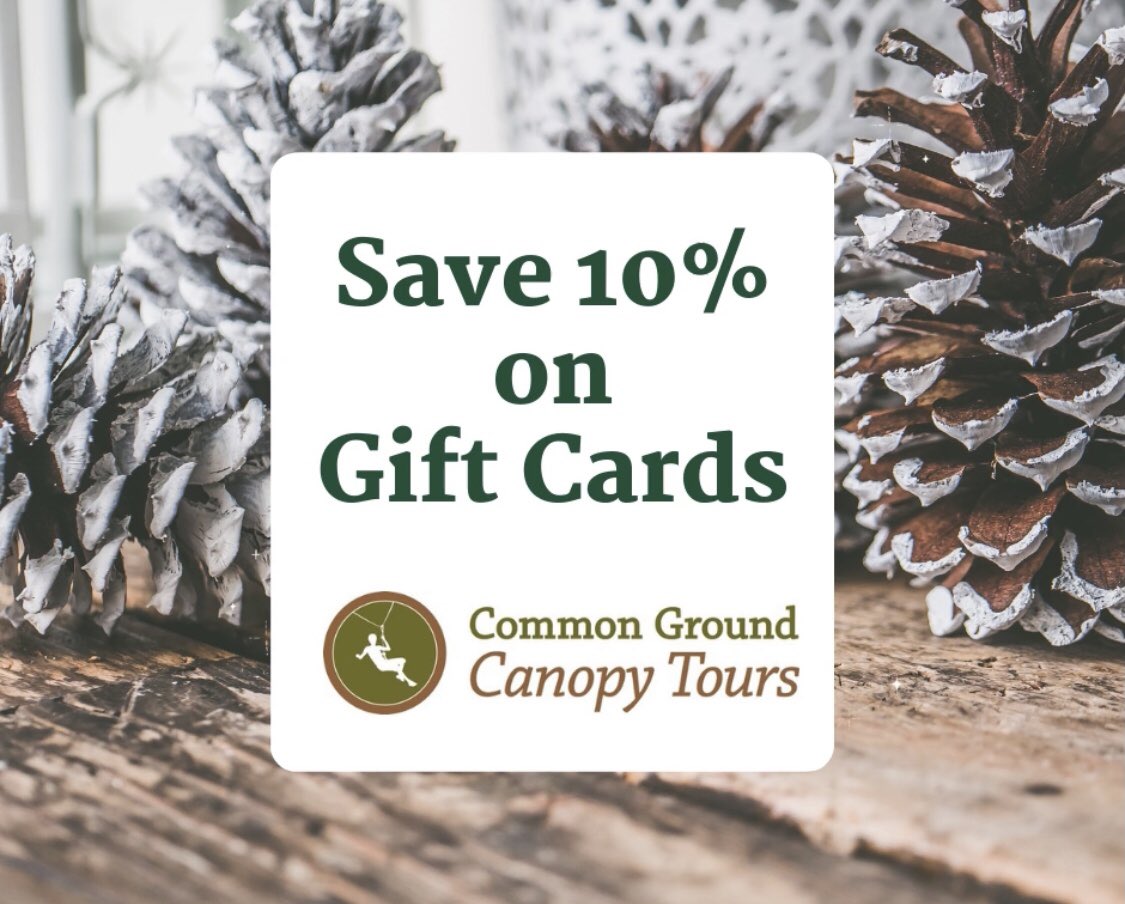 Common Ground tweet media