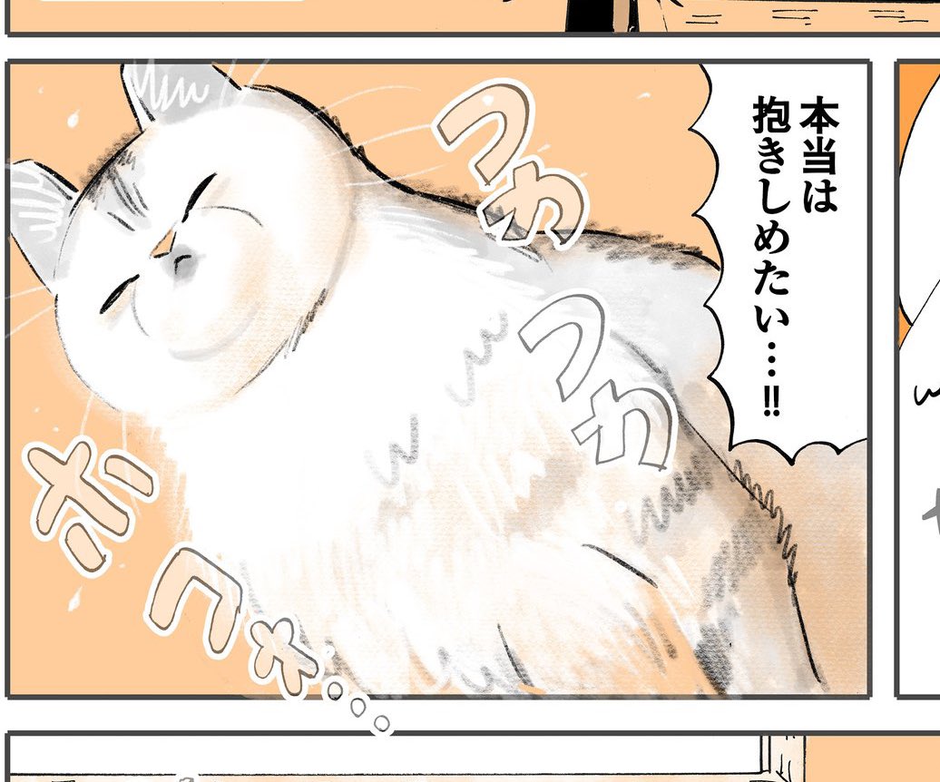 ふかふかホコォなフミちゃん。
今日の夕方は猫漫画の最新話の配信があります! https://t.co/0EEabZzYqK 