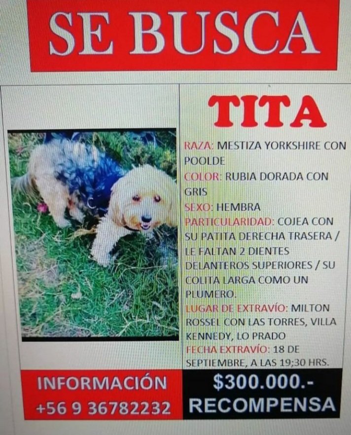 COMUNA DE LO PRADO SE BUSCA A TITA, COMPARTIR