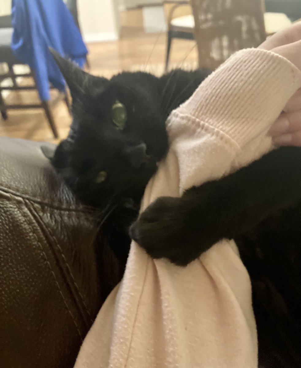 🇺🇦Midnight Daily💙💛 tweet media