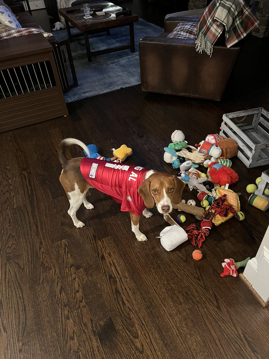 CoachSkutty's tweet photo. With 2:00 left in regulation Bryant got his Jersey out (so mommy would play chase) but on it went… and @AlabamaFTBL WON! He will be wearing that jersey all day next Saturday!! #RollTide https://t.co/J5T3XYYC6K