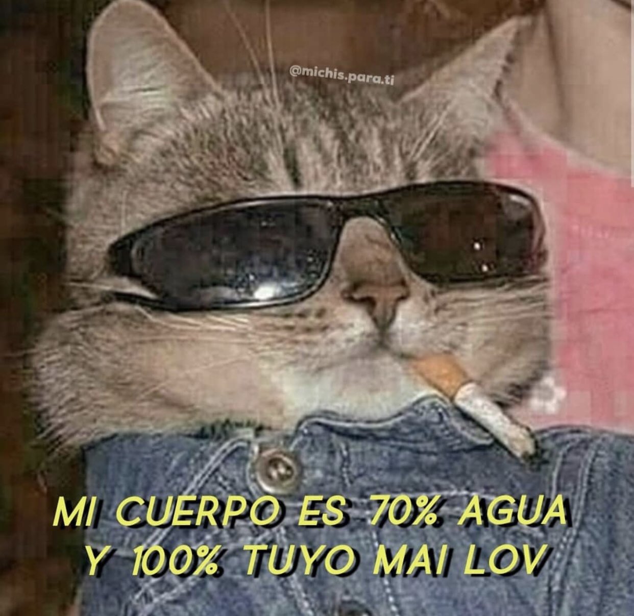 Lindos Memes Para Tu Novio