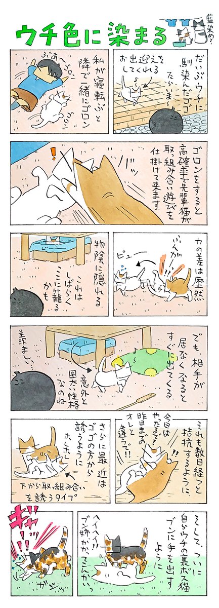 馴染む│フェリシモ猫部 https://t.co/kEst42g6oB 