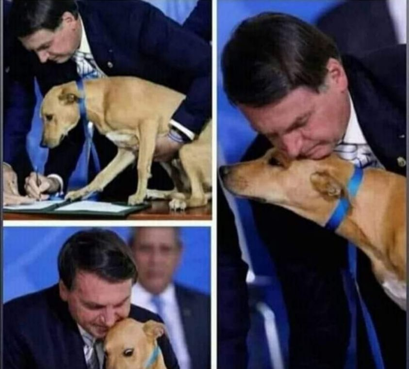 Giovalena's tweet photo. El presidente d Brasil, Zair Bolsonaro, aprobó la ley contra la crueldad animal, firmó la ley con su perro así como con perros que fueron víctimas d la crueldad. Según esta ley,todos aquellos q abusen d perros y gatos serán castigados con pena d prisión d hasta 5 años @FRAENKELE https://t.co/mXNkpO6EQT