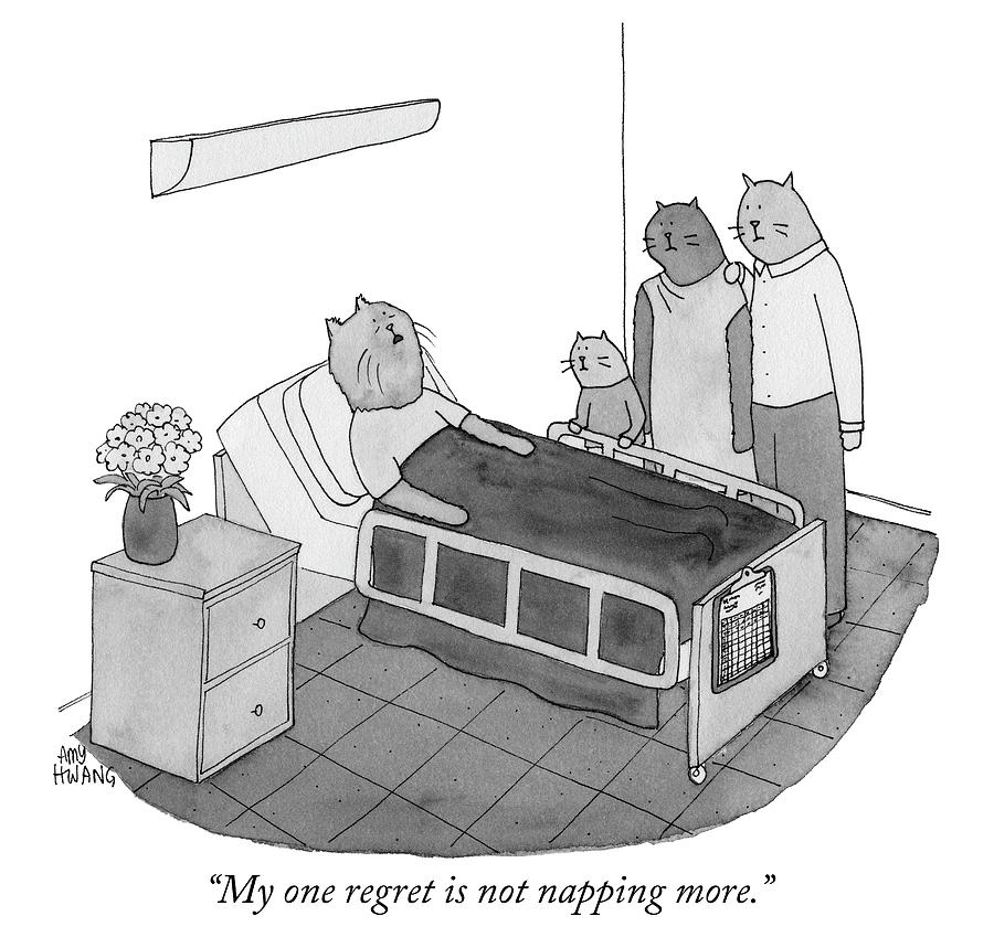 NewYorker's tweet photo. A cartoon by Amy Hwang. #NewYorkerCartoons https://t.co/78mw7zAsDW