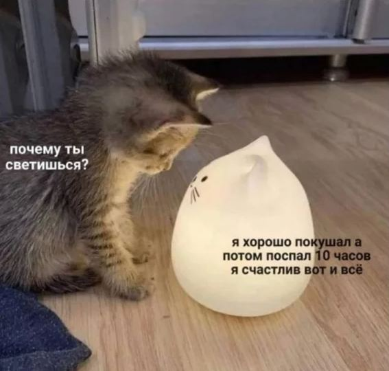 YeltsinOcelot's tweet photo. суббота прошла по-домашнему https://t.co/Dg68NAycMm