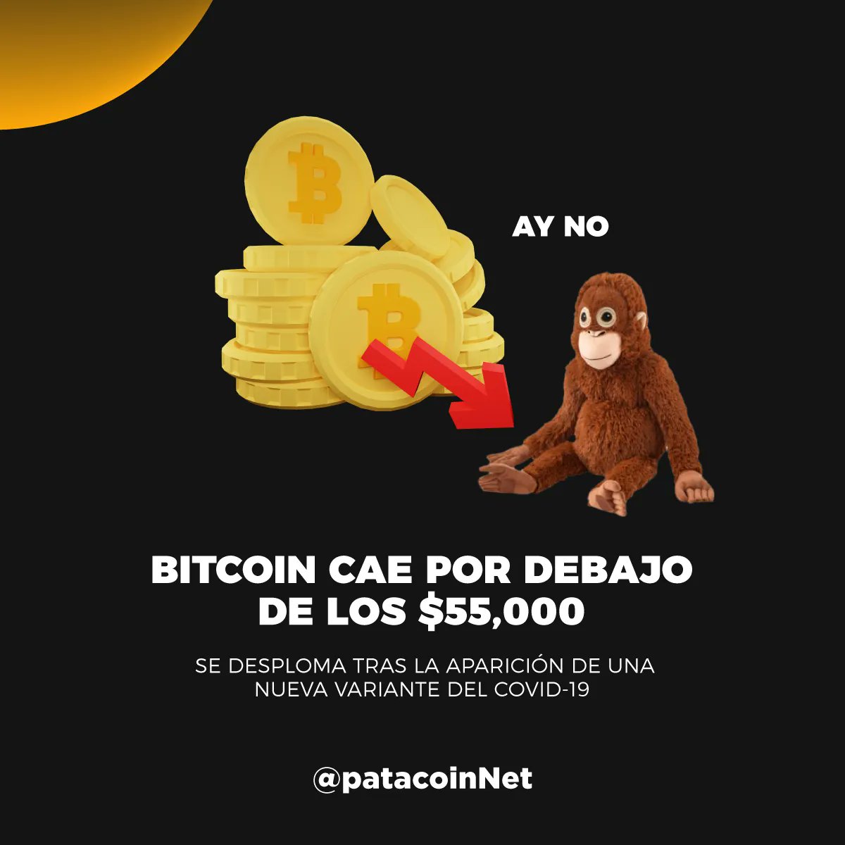 patacoin.eth tweet media