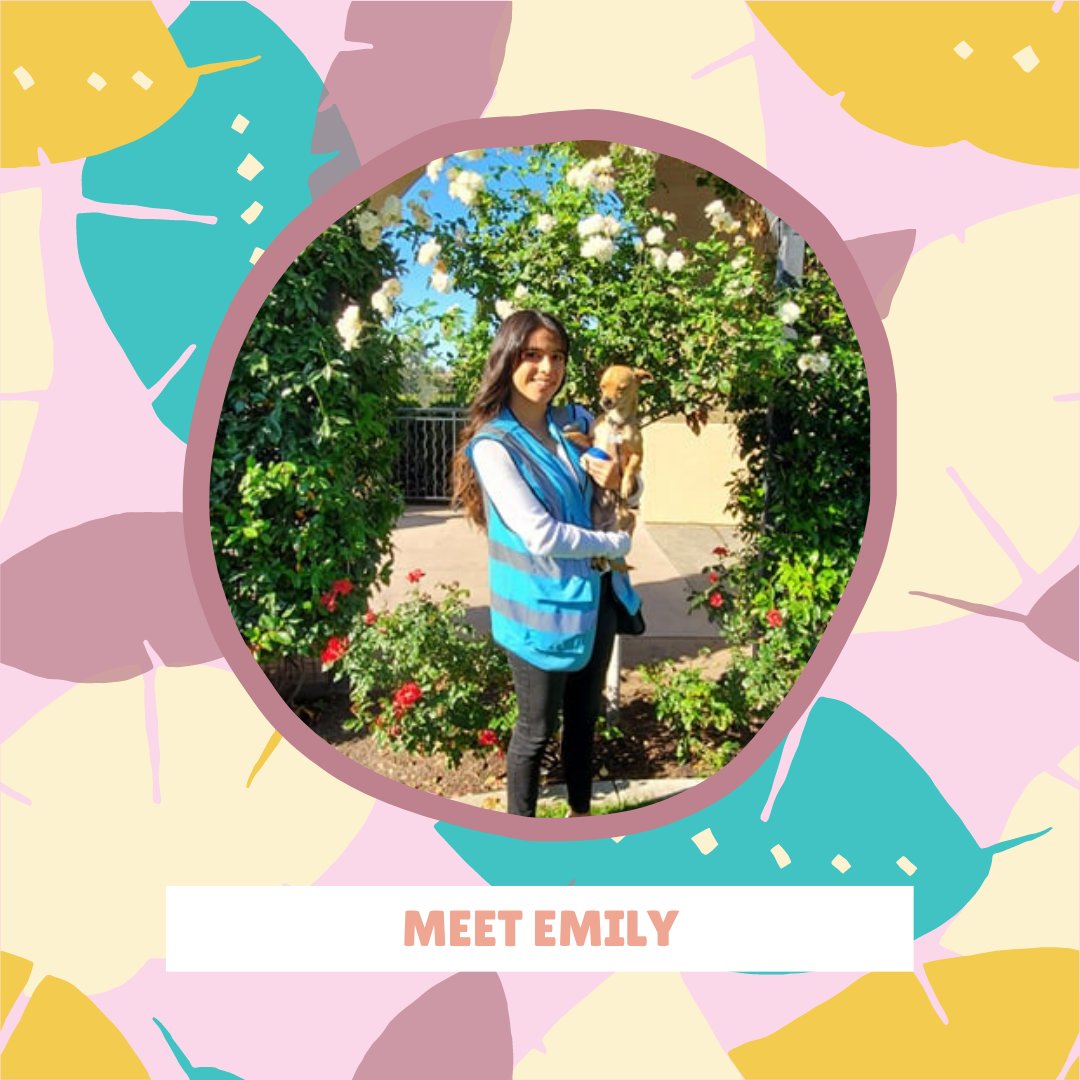 belovedpetsit's tweet photo. Emily is the newest member of our team, she makes our monthly Barkcuterie. She has two dogs of her own including the one she's holding here. Shes a business major at SDSU. https://t.co/I5JuDkBc45