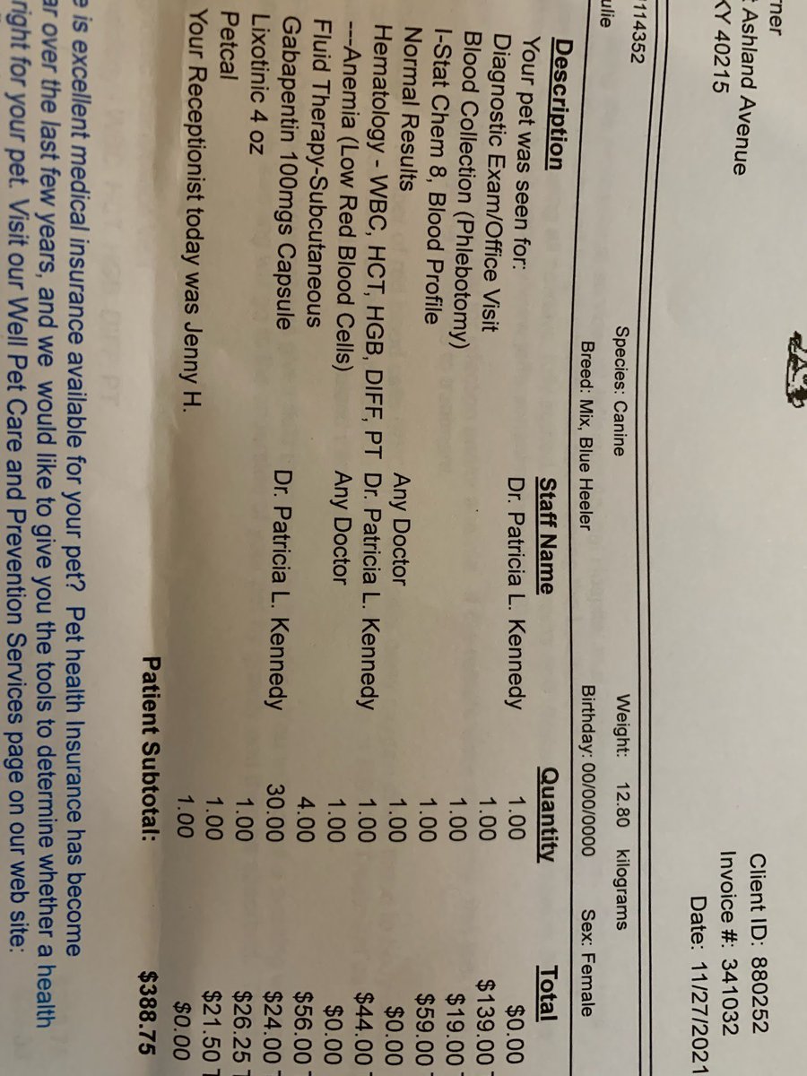 PawPlan's tweet image. #mommydog Julie is being treated for anemia &amp;amp; lumbar pain. She’s resting up at her foster’s home💛#pups are fine. I don’t usually share this link paypal.com/donate/?hosted… but this #vetbill was an unexpected expense for the #petrescue if any1 wants to chip in $5. If not, no biggie!